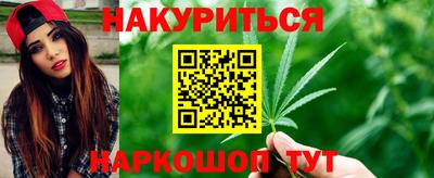 сатива Малгобек