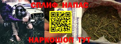сатива Малгобек